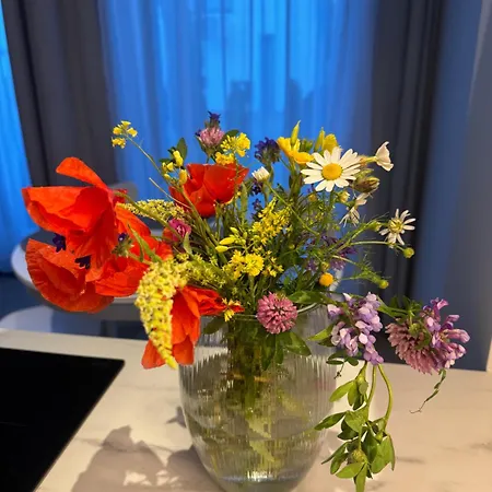 24 Przy Plazy Jastrzebia Gora- Casa vacanze *