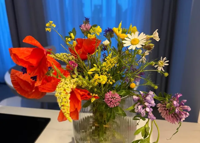 24 Przy Plazy Jastrzebia Gora- Vakantiehuis *